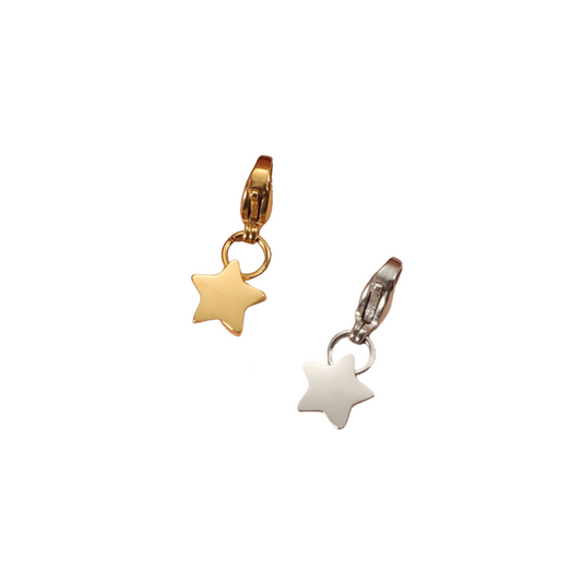 SMALL STAR CHARM