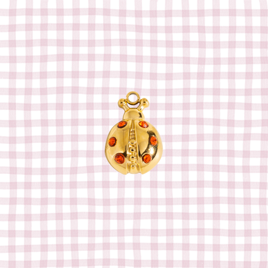 LADY BUG CHARM