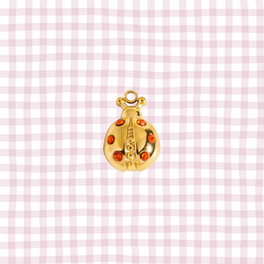 LADY BUG CHARM